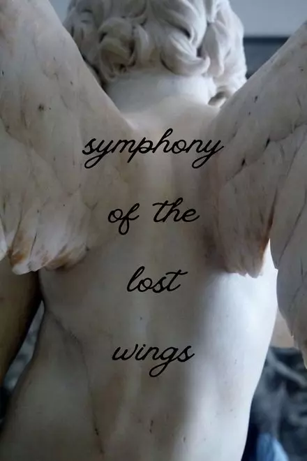 Symphony Of The Lost Wings